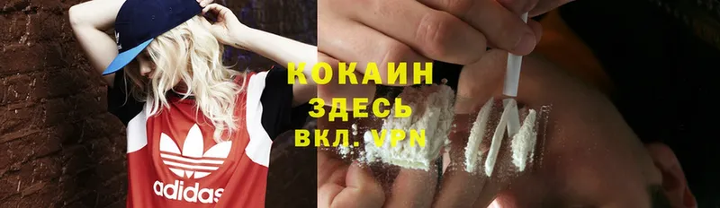 Cocaine 99%  где найти   Костомукша 