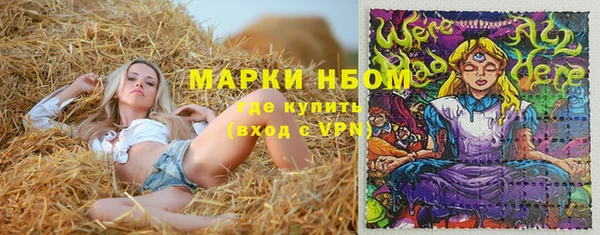 шишки Надым