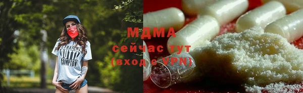 индика Зуевка