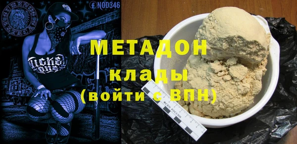 шишки Надым