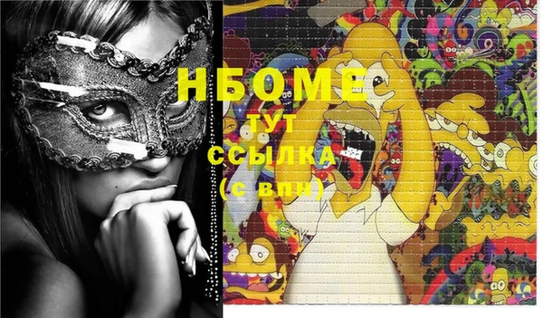 шишки Надым