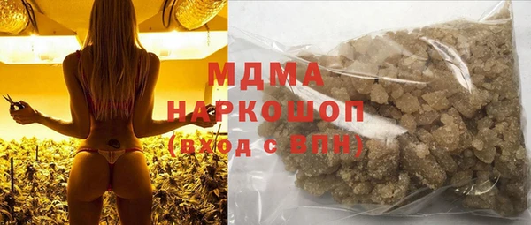 шишки Надым
