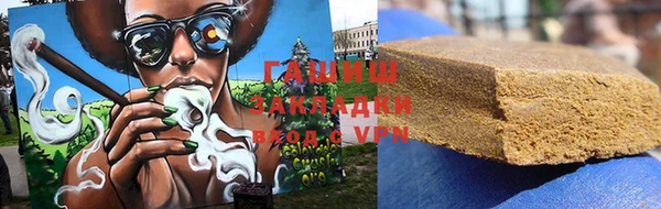 шишки Надым