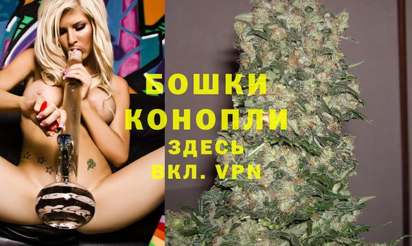 шишки Надым