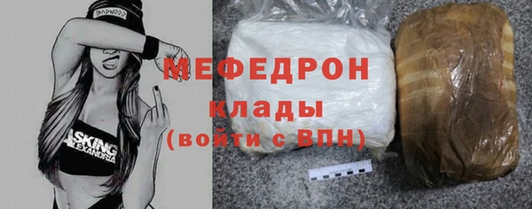 шишки Надым