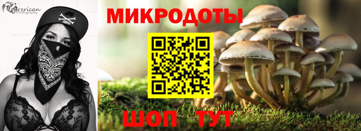 Галлюциногенные грибы прущие грибы Костомукша