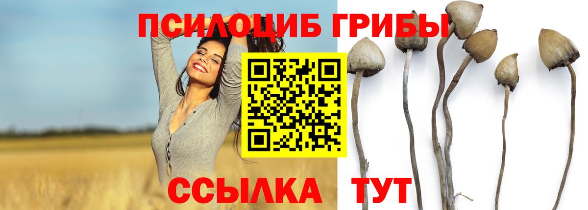 Псилоцибиновые грибы Cubensis  Псилоцибиновые грибы Psilocybine cubensis  магазин  наркотиков  Вход с VPN  Костомукша 